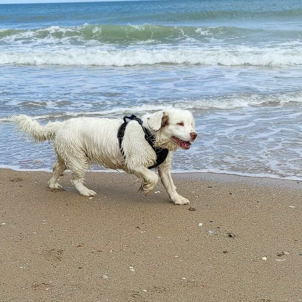 Hobivanna - Week-end à cabourg